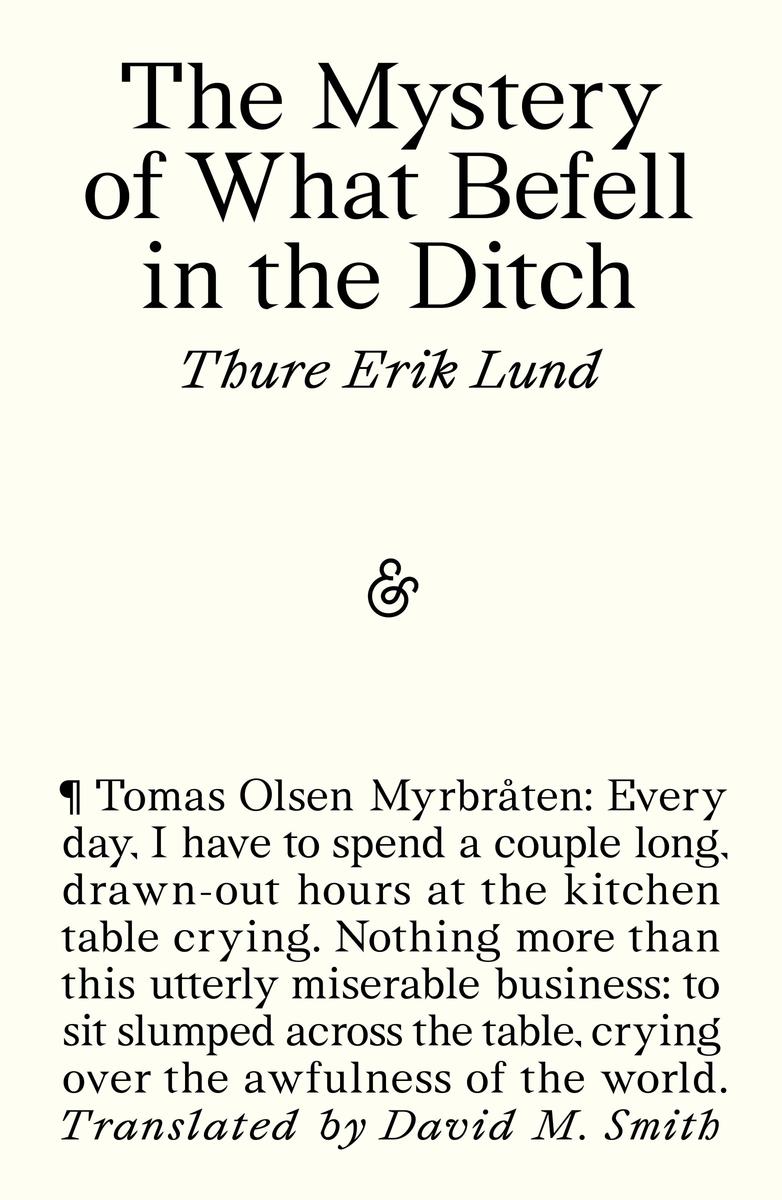 The Mystery of What Befell in the Ditch book cover