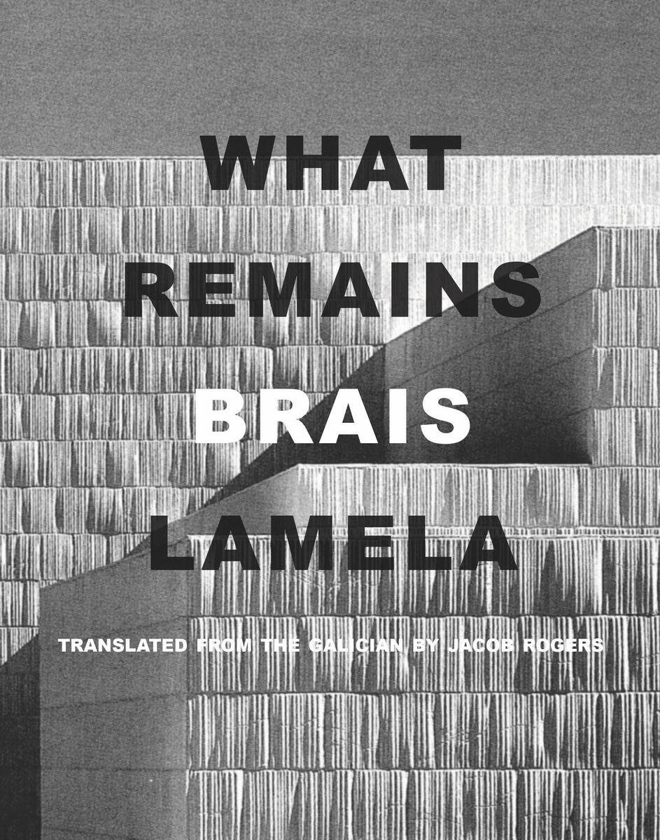 What Remains book cover