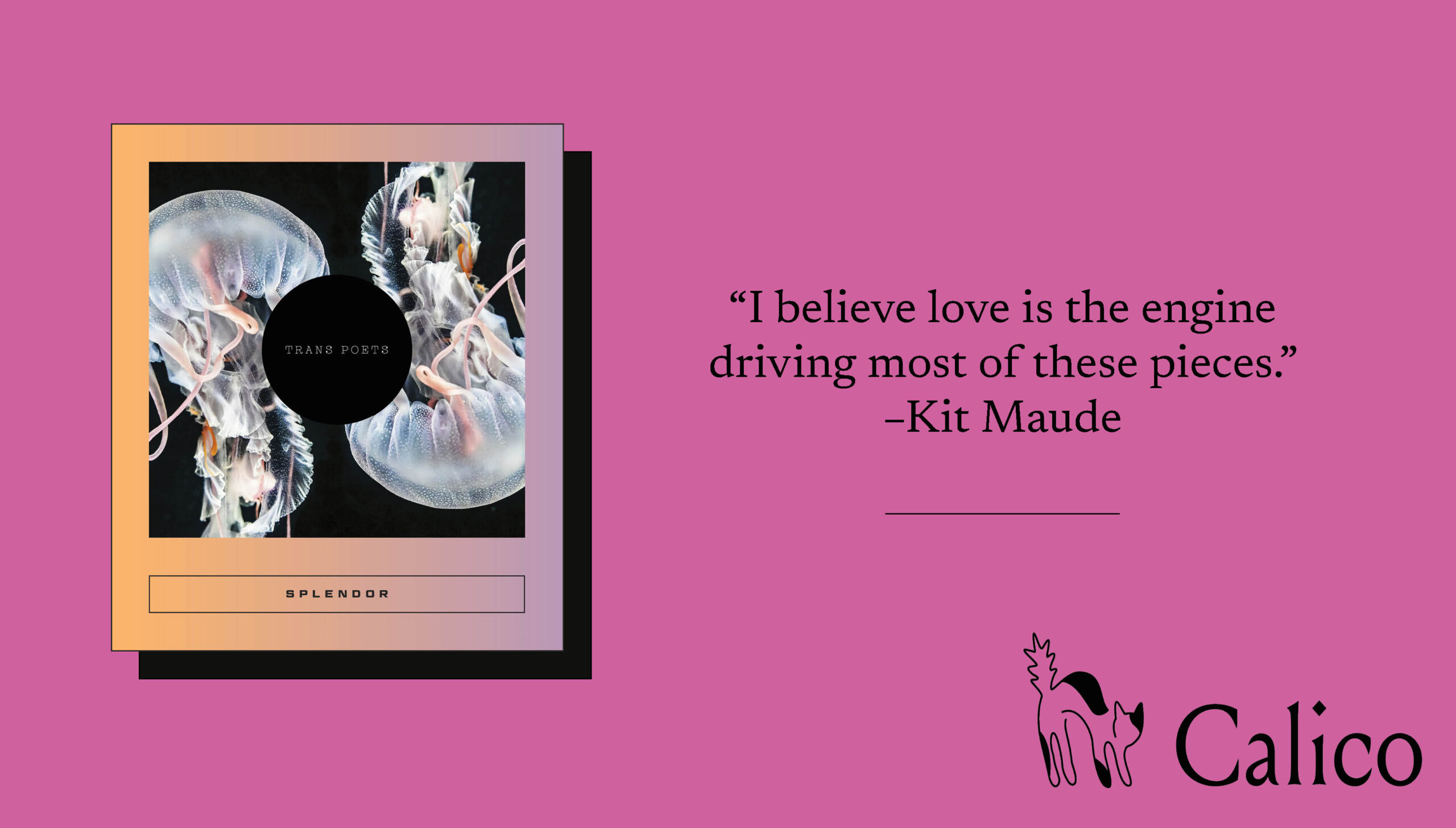 Pink background image featuring Splendor book cover and the quote: 